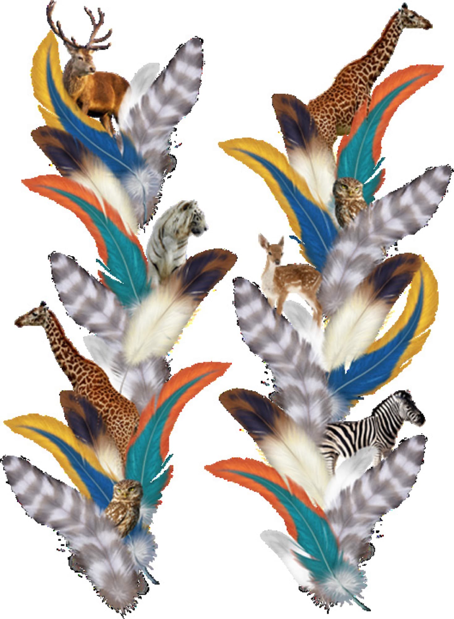 Feathers sub-collection: illustrated feather and wildlife motif